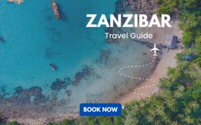 Zanzibar Travel Guide